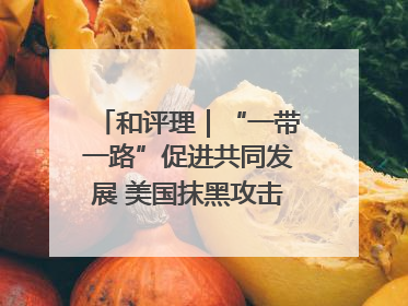 和评理｜“一带一路”促进共同发展 美国抹黑攻击酸味十足