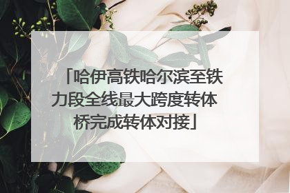哈伊高铁哈尔滨至铁力段全线最大跨度转体桥完成转体对接