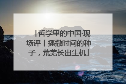 哲学里的中国·现场评丨播撒时间的种子，荒芜长出生机