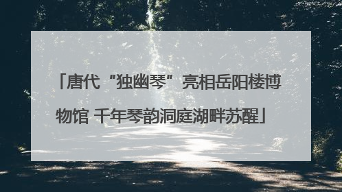 唐代“独幽琴”亮相岳阳楼博物馆 千年琴韵洞庭湖畔苏醒