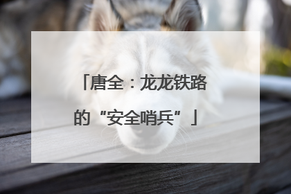 唐全：龙龙铁路的“安全哨兵”
