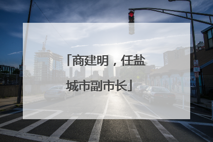 商建明，任盐城市副市长