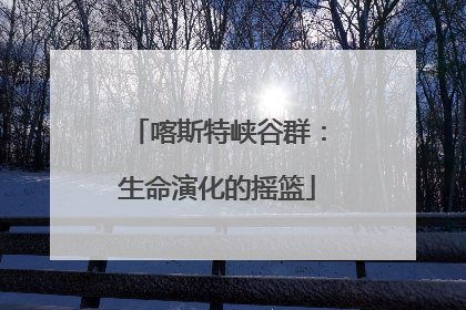 喀斯特峡谷群：生命演化的摇篮