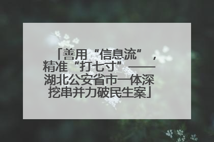 善用“信息流”，精准“打七寸”——湖北公安省市一体深挖串并力破民生案