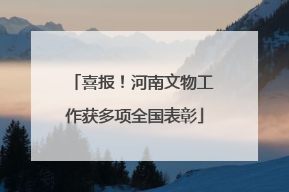 喜报！河南文物工作获多项全国表彰