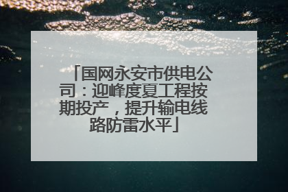 国网永安市供电公司：迎峰度夏工程按期投产，提升输电线路防雷水平