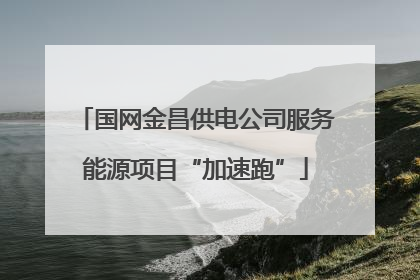 国网金昌供电公司服务能源项目“加速跑”