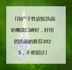 国产干性皮肤洗面奶哪款口碑好，好用的洗面奶推荐2025，不要错过