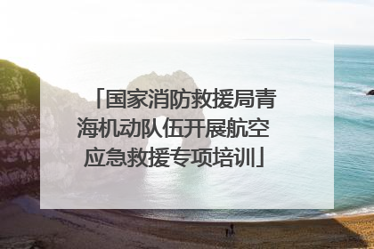 国家消防救援局青海机动队伍开展航空应急救援专项培训
