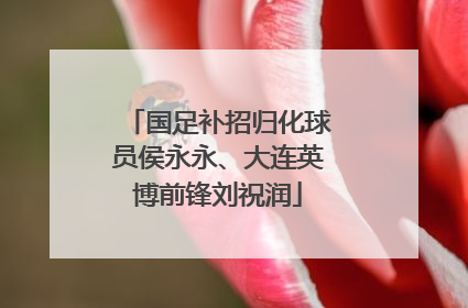 国足补招归化球员侯永永、大连英博前锋刘祝润