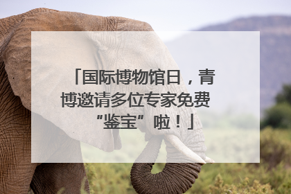 国际博物馆日，青博邀请多位专家免费“鉴宝”啦！
