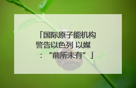 国际原子能机构警告以色列 以媒：“前所未有”
