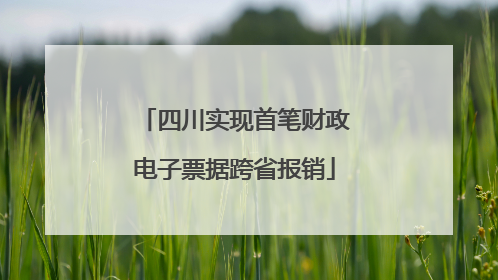 四川实现首笔财政电子票据跨省报销