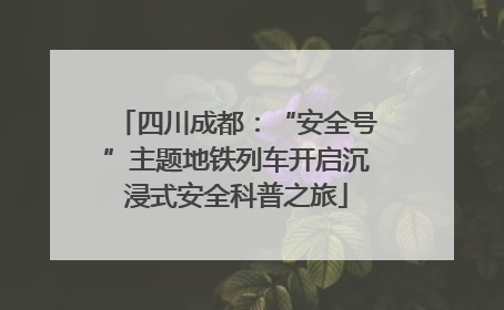 四川成都：“安全号”主题地铁列车开启沉浸式安全科普之旅