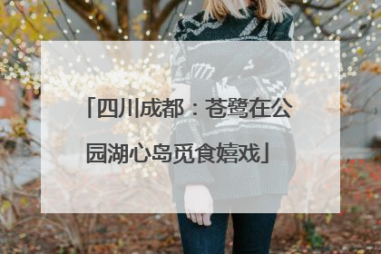 四川成都：苍鹭在公园湖心岛觅食嬉戏