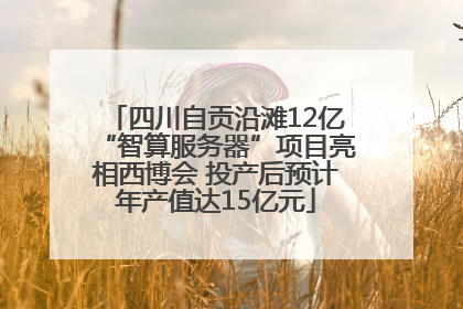 四川自贡沿滩12亿“智算服务器”项目亮相西博会 投产后预计年产值达15亿元
