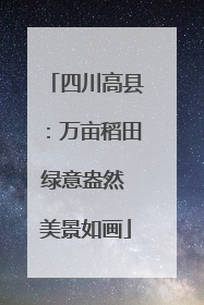 四川高县：万亩稻田绿意盎然 美景如画