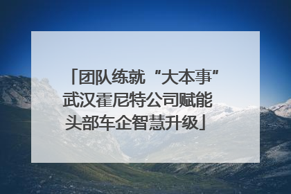 团队练就“大本事” 武汉霍尼特公司赋能头部车企智慧升级