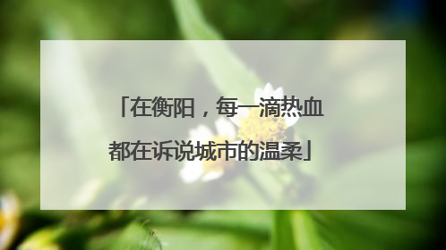 在衡阳，每一滴热血都在诉说城市的温柔