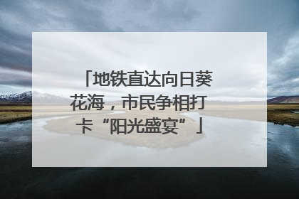 地铁直达向日葵花海，市民争相打卡“阳光盛宴”