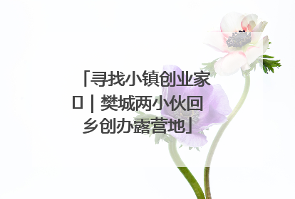 寻找小镇创业家㊳｜樊城两小伙回乡创办露营地