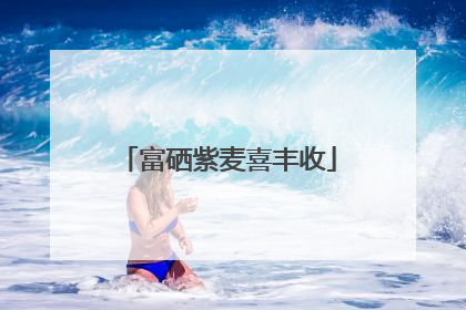 富硒紫麦喜丰收