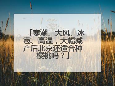 寒潮、大风、冰雹、高温，大幅减产后北京还适合种樱桃吗？