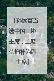 孙远富当选中国田协主席，王晓莹增补为副主席