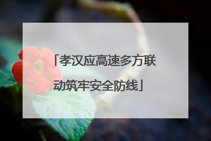 孝汉应高速多方联动筑牢安全防线
