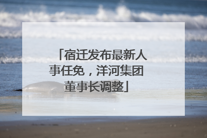 宿迁发布最新人事任免，洋河集团董事长调整