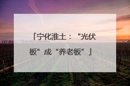 宁化淮土：“光伏板”成“养老板”