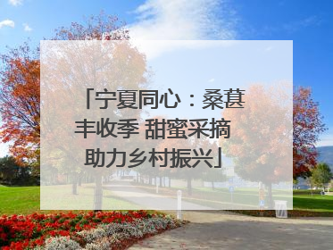 宁夏同心：桑葚丰收季 甜蜜采摘助力乡村振兴