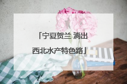 宁夏贺兰 淌出西北水产特色路