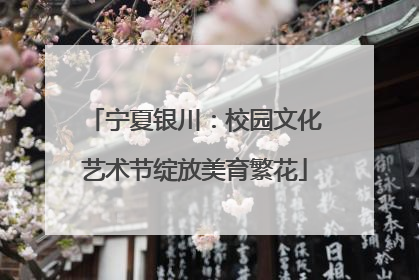 宁夏银川：校园文化艺术节绽放美育繁花