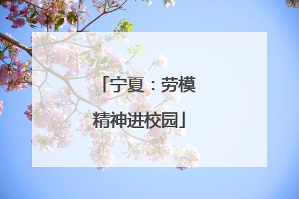 宁夏：劳模精神进校园
