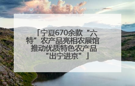 宁夏670余款“六特”农产品亮相农展馆 推动优质特色农产品“出宁进京”