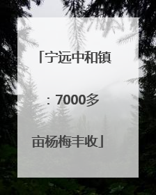 宁远中和镇：7000多亩杨梅丰收