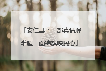 安仁县：干部真情解难题一面锦旗映民心