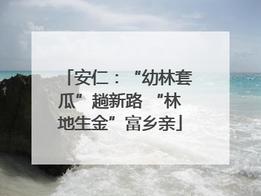 安仁：“幼林套瓜”趟新路 “林地生金”富乡亲