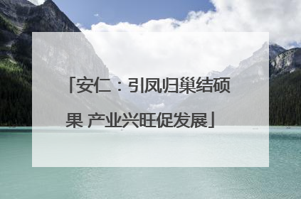 安仁：引凤归巢结硕果 产业兴旺促发展