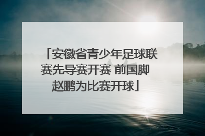 安徽省青少年足球联赛先导赛开赛 前国脚赵鹏为比赛开球