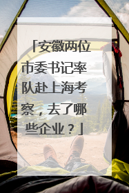 安徽两位市委书记率队赴上海考察，去了哪些企业？