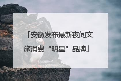 安徽发布最新夜间文旅消费“明星”品牌