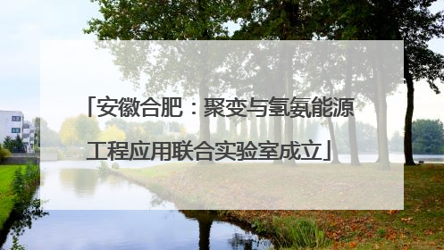 安徽合肥：聚变与氢氨能源工程应用联合实验室成立