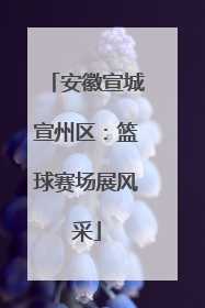 安徽宣城宣州区：篮球赛场展风采