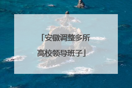 安徽调整多所高校领导班子