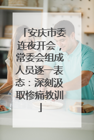 安庆市委连夜开会，常委会组成人员逐一表态：深刻汲取惨痛教训
