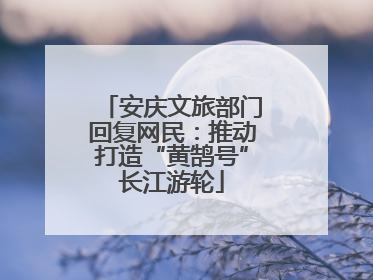 安庆文旅部门回复网民：推动打造“黄鹄号”长江游轮