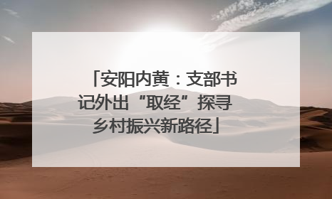 安阳内黄：支部书记外出“取经”探寻乡村振兴新路径