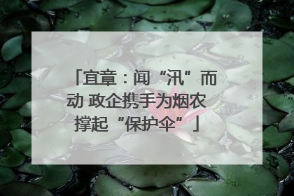 宜章：闻“汛”而动 政企携手为烟农撑起“保护伞”